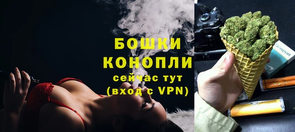 прущие грибы Балабаново