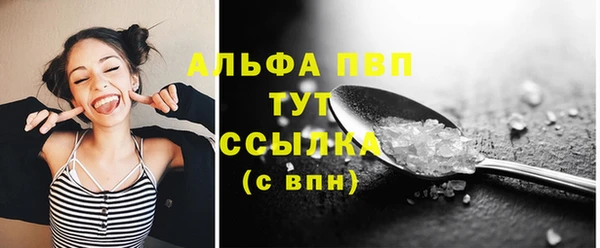 стаф Баксан