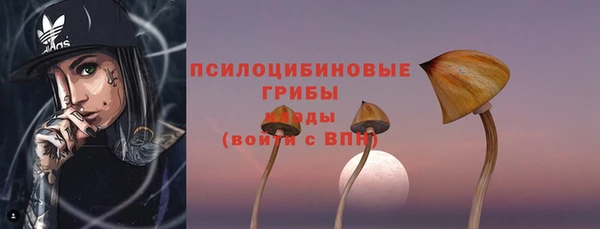 прущие грибы Балабаново