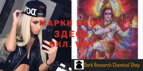 стаф Баксан