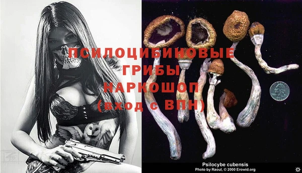 прущие грибы Балабаново