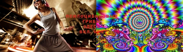прущие грибы Балабаново