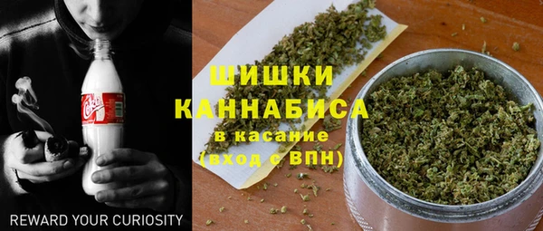 прущие грибы Балабаново