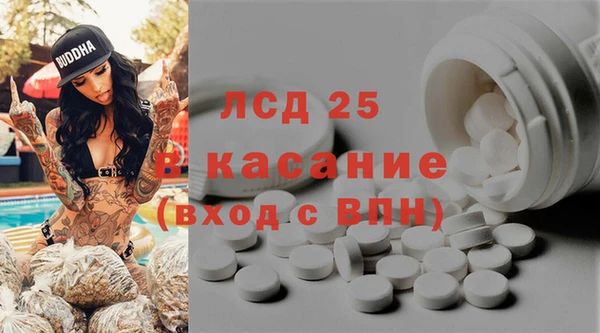 прущие грибы Балабаново