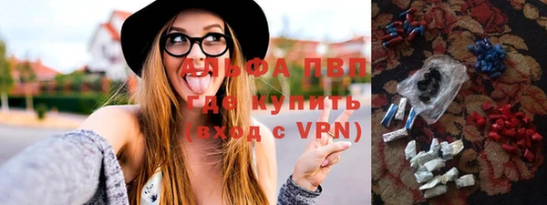 прущие грибы Балабаново