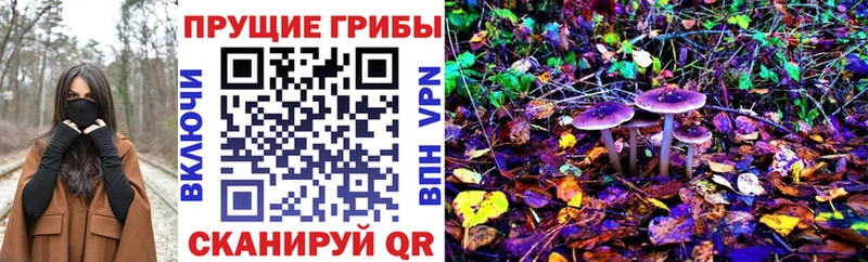 Галлюциногенные грибы Magic Shrooms  купить наркоту  ссылка на мегу ССЫЛКА  даркнет состав  Лодейное Поле 